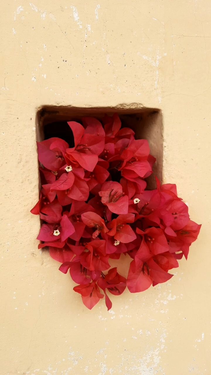 Visual — dependency in relationships, psychoanalytic perspective