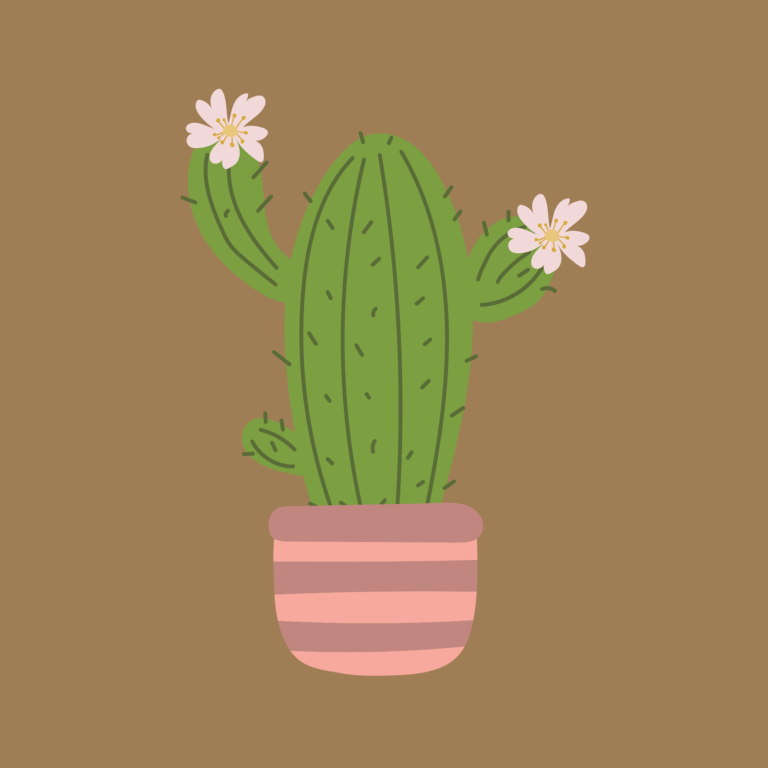 Illustration of a flowering cactus in a striped pink pot, for the article on the sliding scale